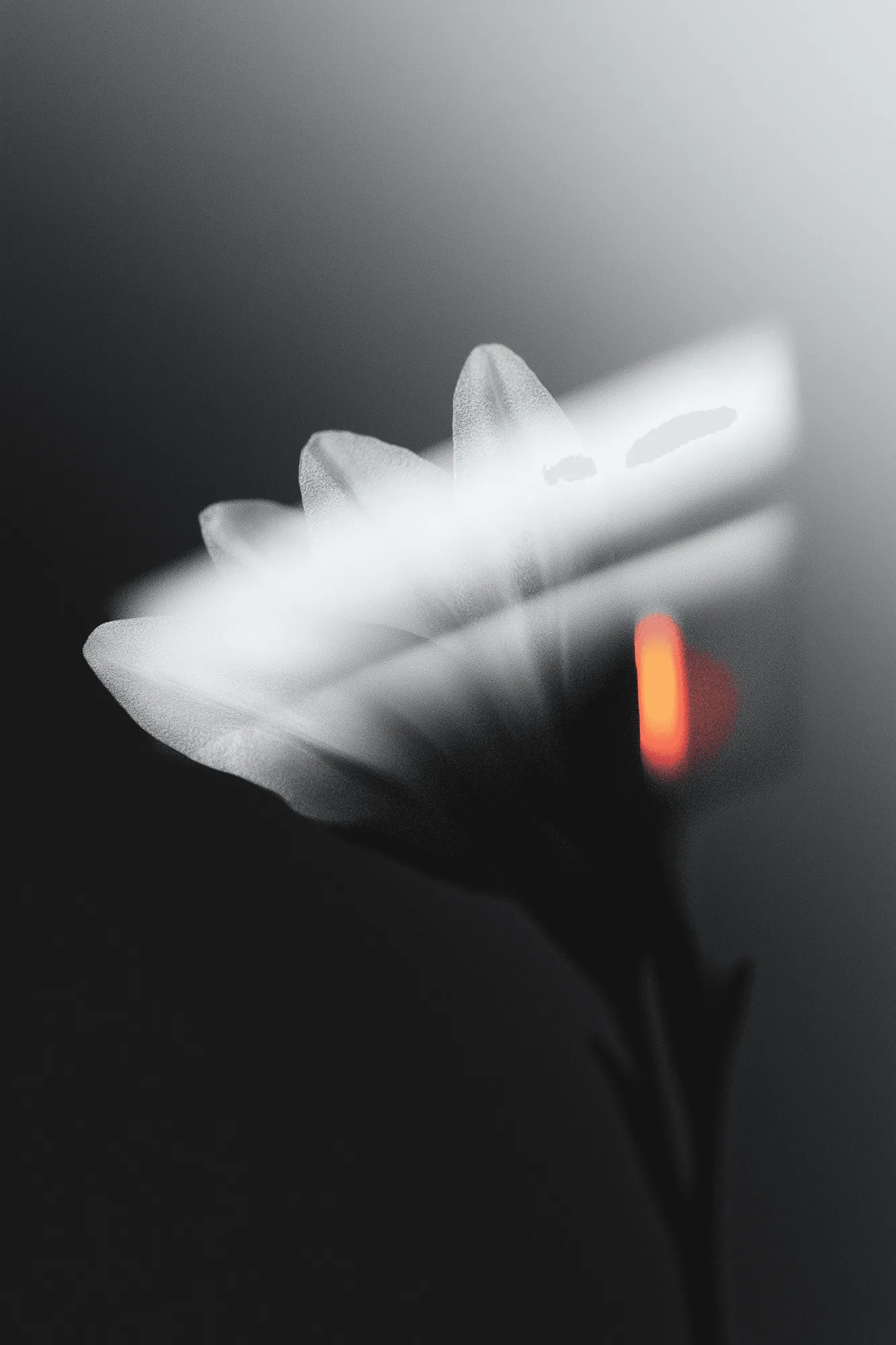 Un ensemble de formes géométriques minimalistes en noir et blanc, disposées sur un fond clair.