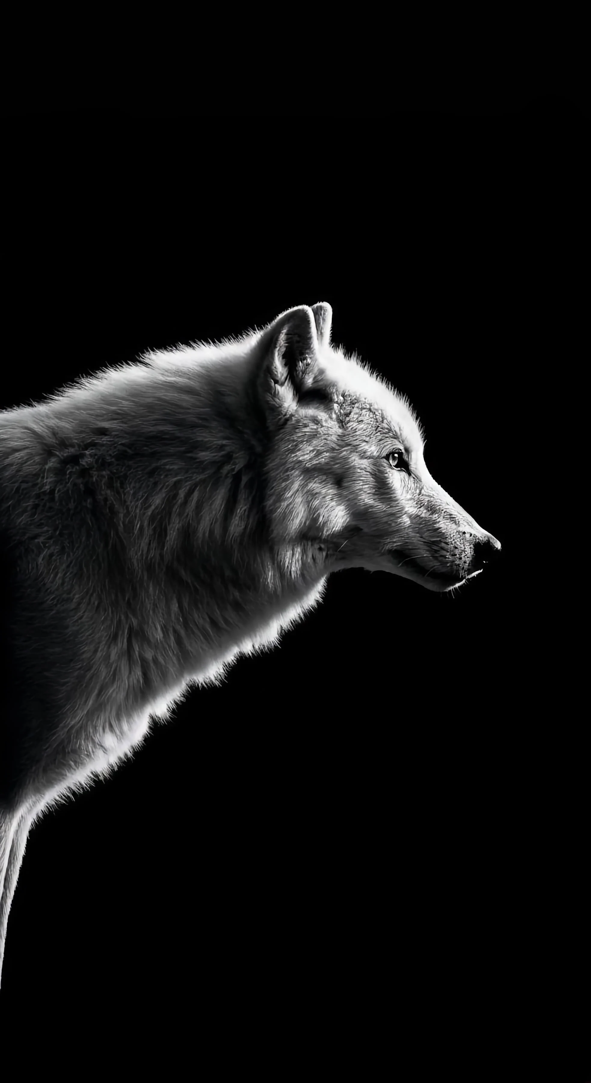 Le brutalisme en design web